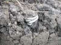 100_3092.webp