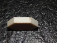 DSCN8251.webp