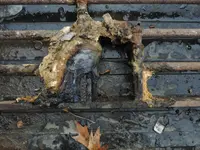 K1600_001.webp