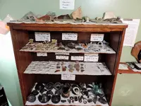 DSCN2650.webp