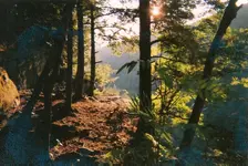scan0007.webp