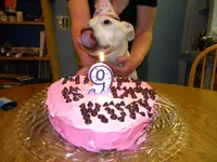 DSCN3236.webp