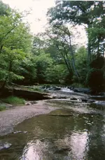 scan0144.webp