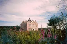 scan0003.webp