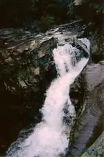 381431_2946047888797_456120403_n.webp