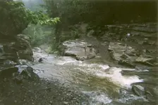 396437_2946048168804_11903045_n.webp