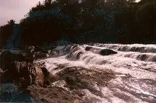 scan0004.webp