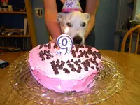 DSCN3237.webp