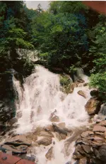 scan0005.webp