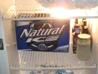 Shine in the garage fridge.webp