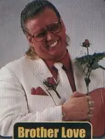 brother-love-wwf.webp