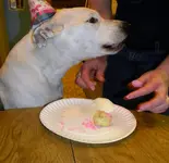 DSCN3244.webp
