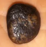 lil earth4.webp