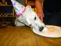 DSCN3245.webp