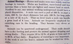 animal spec's in mining.webp