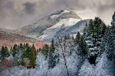 Snow 011512 66 (224)BLENDEDx.webp