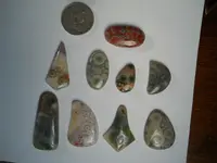 DSCN1588.webp