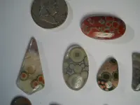 DSCN1589.webp