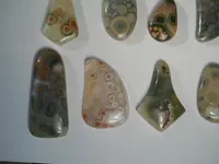 DSCN1590.webp