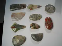 DSCN1591.webp