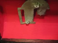 Liberty buckle day 026.webp