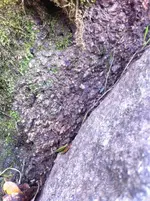 image-2028212172.webp