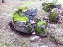 image-1103105779.webp