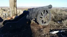Cannon4.webp