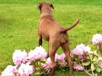 ImageUploadedByTreasureNet.com1421510123.254227.webp