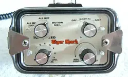 tigersharkfront.webp