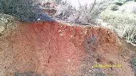 DSCF0195.webp