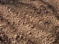 SDC11741.webp