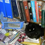 DSCN6817.webp