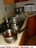 DSCF3373.webp DSCF3373.webp