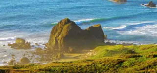 DSCN6792.webp