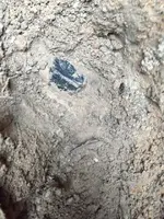 ImageUploadedByTreasureNet.com1419637886.306046.webp ImageUploadedByTreasureNet.com1419637886.306046.webp