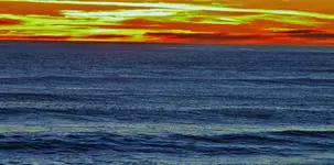 DSCN6811.webp