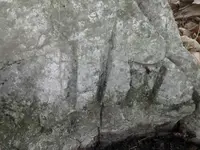 1226141232.webp