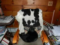 DSCN1092_zpse89bd51c.webp