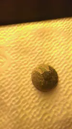 IMAG0423.webp