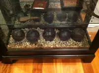 cwstuf6.webp