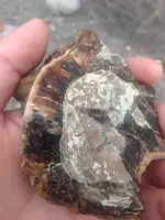 ImageUploadedByTreasureNet.com1418155021.019692.webp
