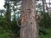 ImageUploadedByTreasureNet.com1421527753.596927.webp
