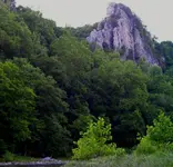 1113.webp