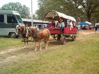 Picture 069.webp