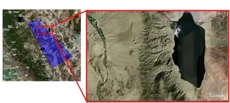 search area.webp
