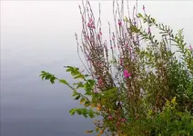 HSPICTURES 023-Changed.webp