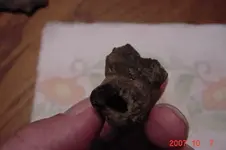 rvrbnk4l.webp