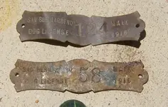 Dog Tags.webp