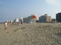 Picture 003.webp